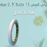 دبل فيس