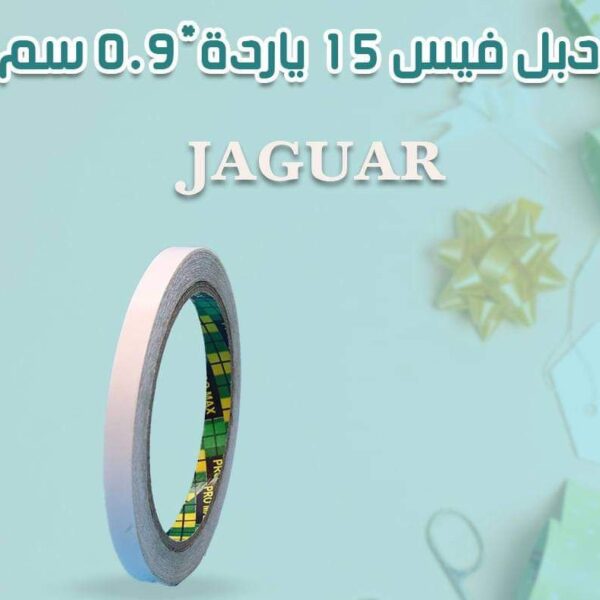 دبل فيس