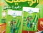 التأسيس السليم رياضيات 4 ابتدائي